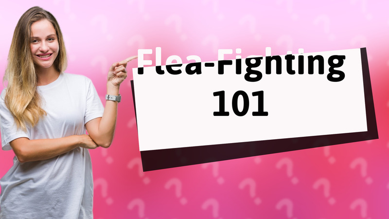 Flea-Fighting 101
