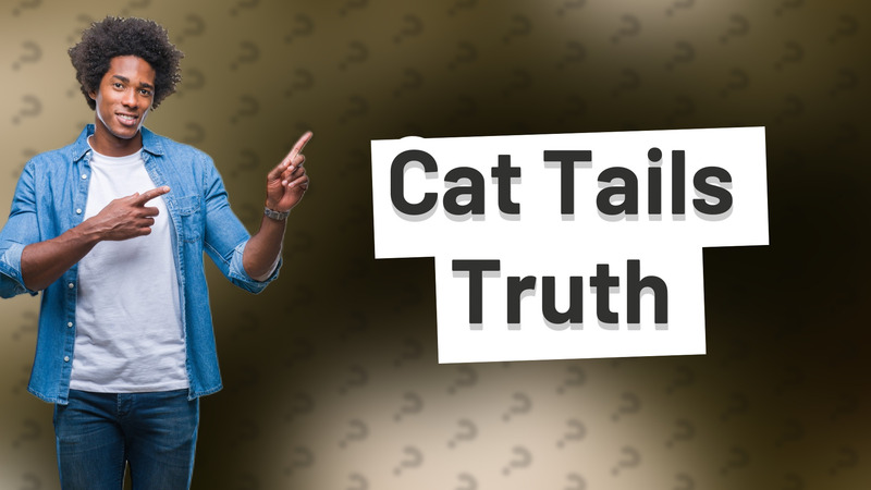 Cat Tails Truth