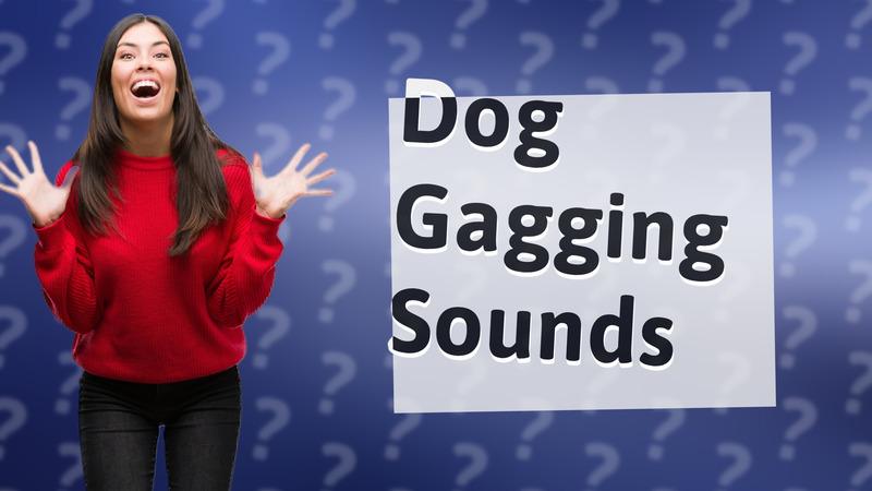 Dog Gagging Sounds