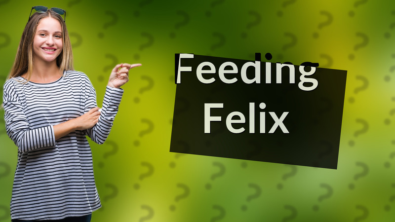 Feeding Felix