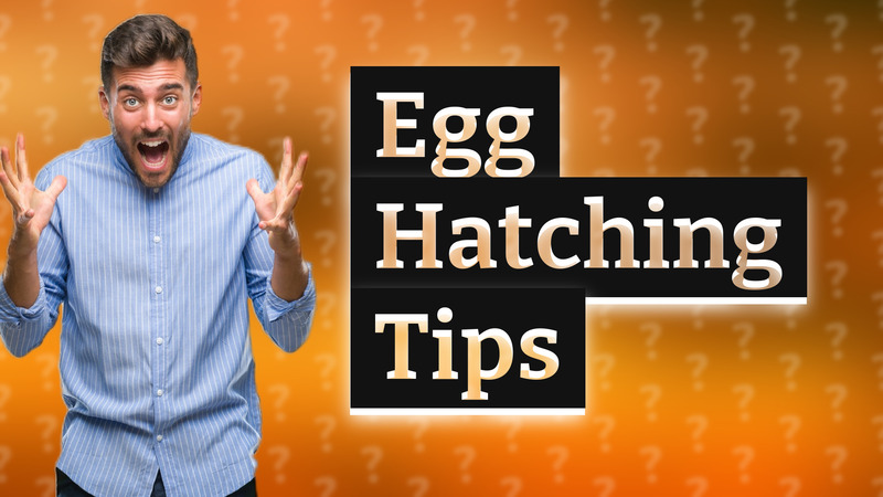 Egg Hatching Tips