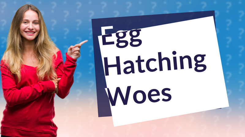 Egg Hatching Woes