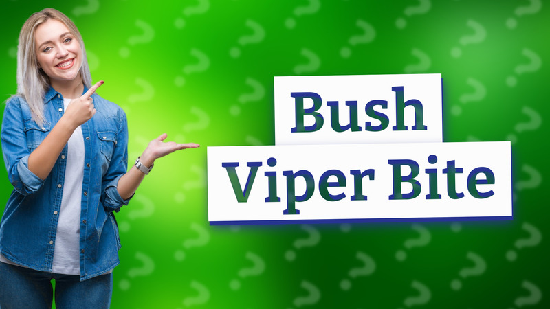 Bush Viper Bite