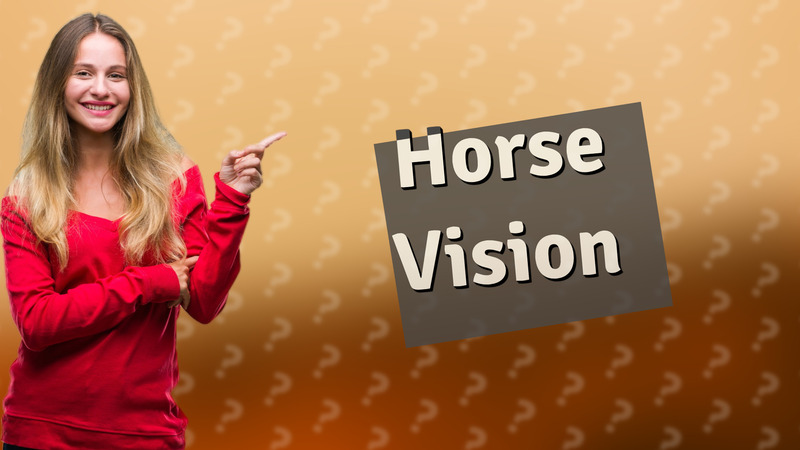 Horse Vision
