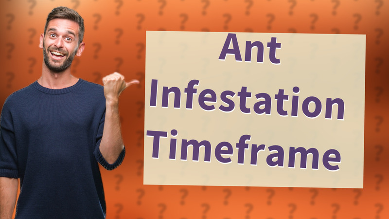 Ant Infestation Timeframe
