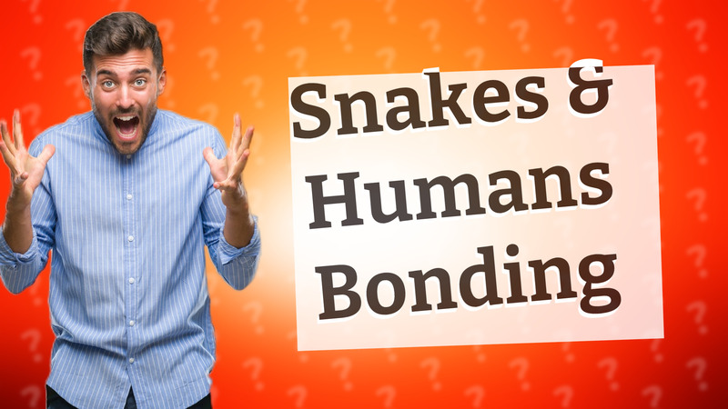 Snakes & Humans Bonding