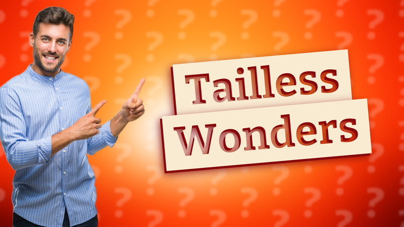 Tailless Wonders