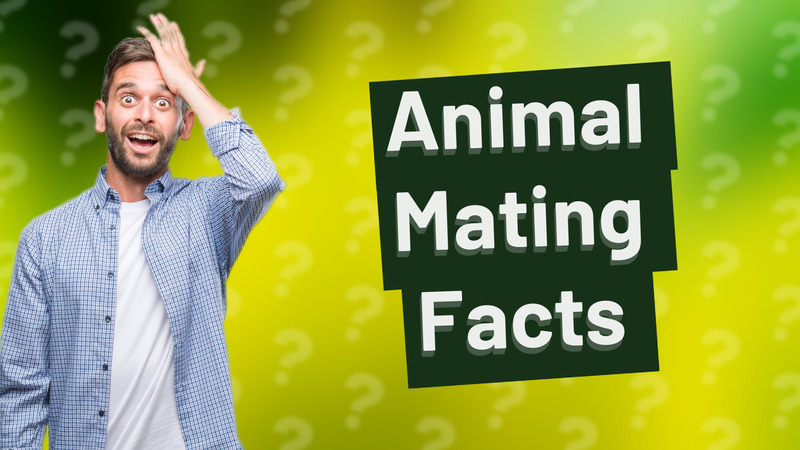 Animal Mating Facts