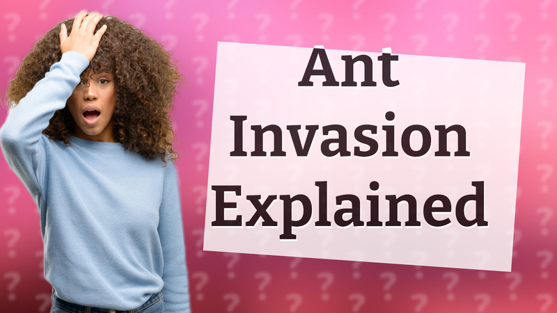 Ant Invasion Explained