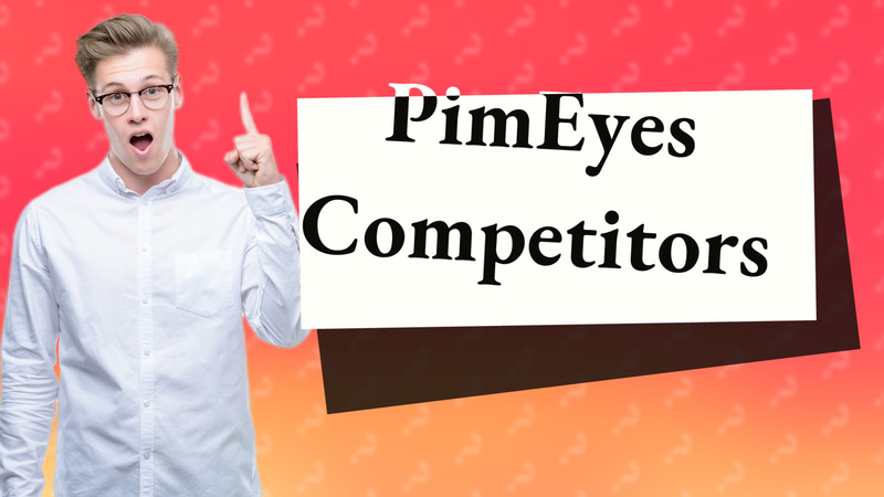 PimEyes Competitors