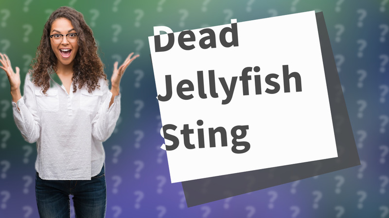 Dead Jellyfish Sting