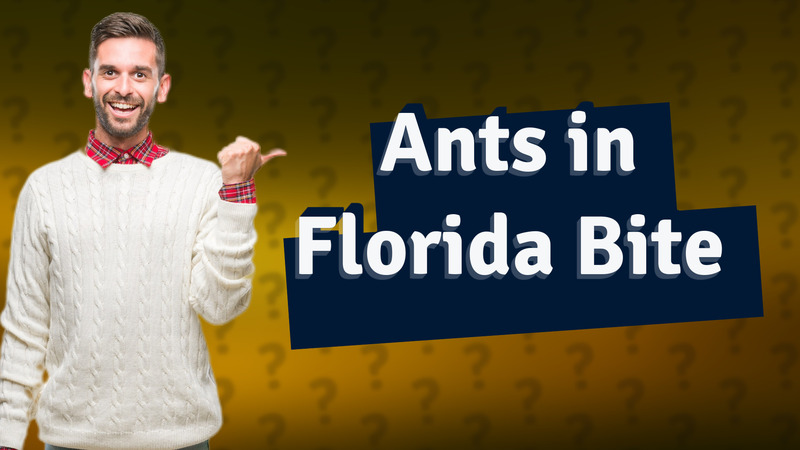 Ants in Florida Bite