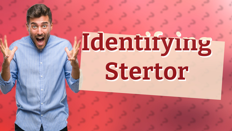 Identifying Stertor