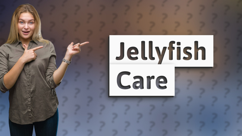 Jellyfish Care