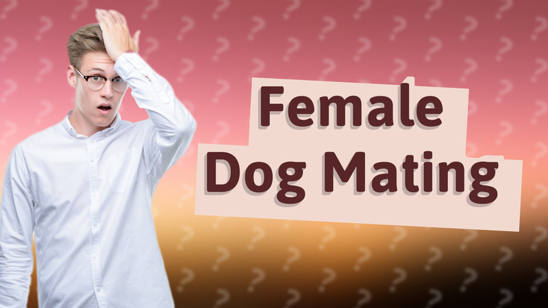 Female Dog Mating