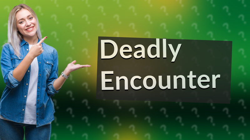 Deadly Encounter