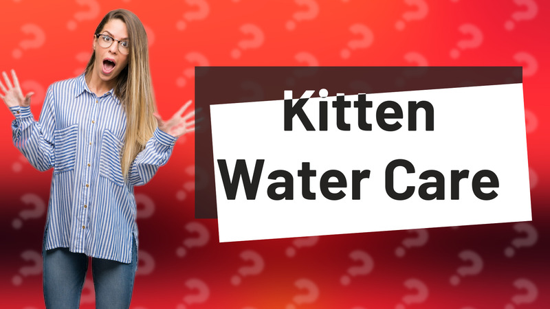 Kitten Water Care