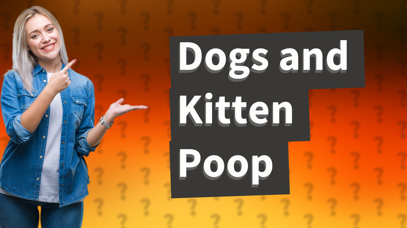 Dogs and Kitten Poop