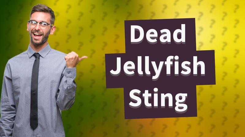 Dead Jellyfish Sting