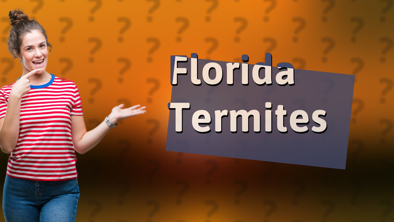 Florida Termites
