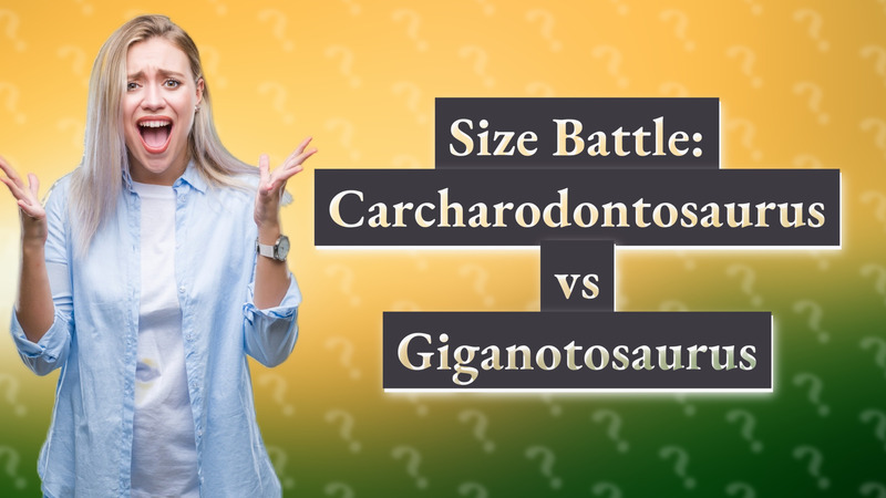 Size Battle: Carcharodontosaurus vs Giganotosaurus