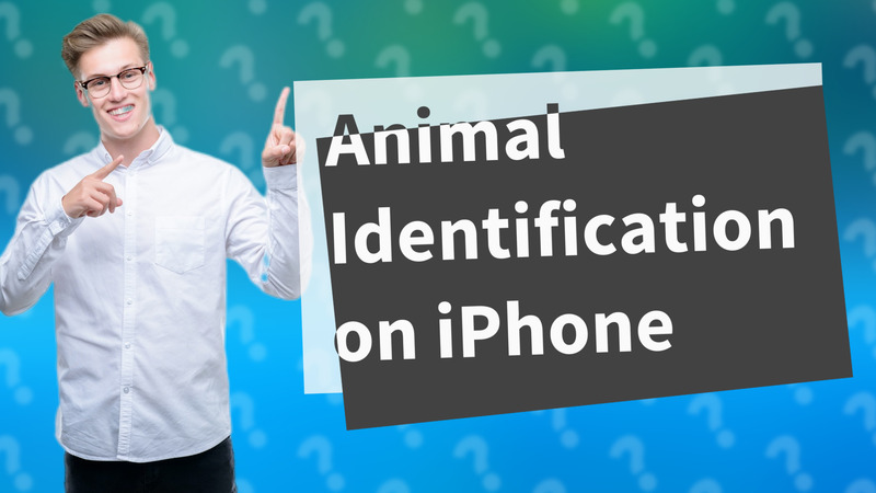 Animal Identification on iPhone
