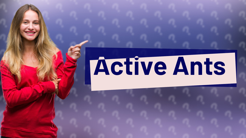 Active Ants