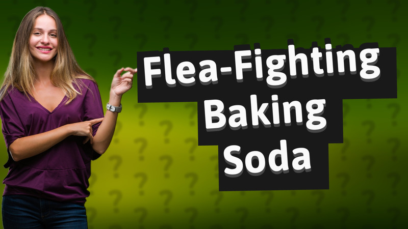 Flea-Fighting Baking Soda