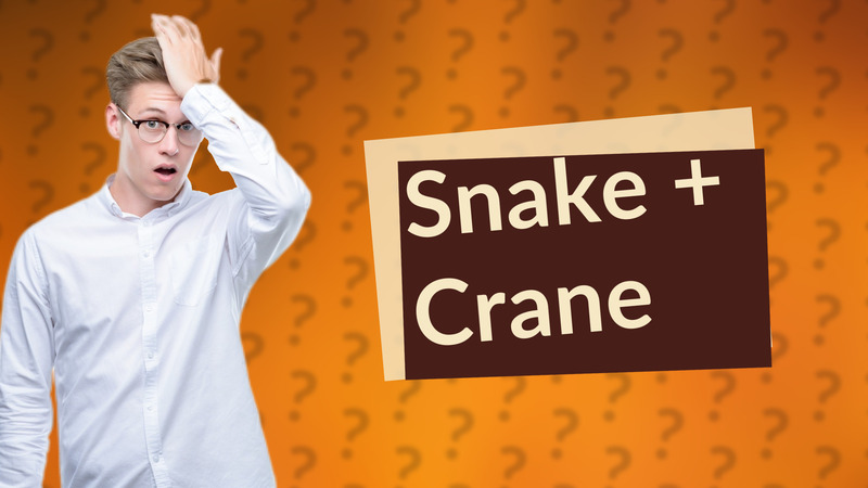 Snake + Crane