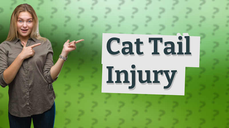 Cat Tail Injury
