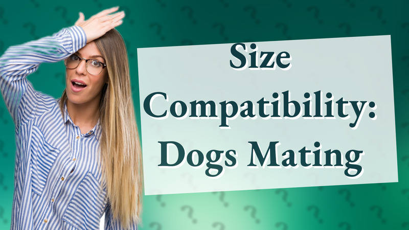 Size Compatibility: Dogs Mating