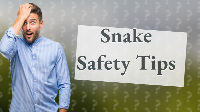 Snake Safety Tips