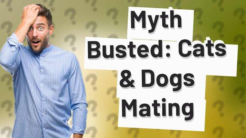 Myth Busted: Cats & Dogs Mating