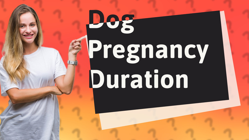 Dog Pregnancy Duration