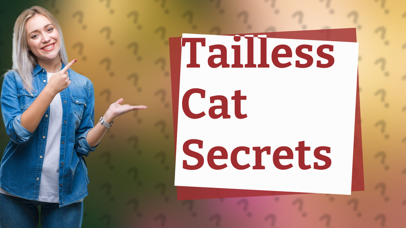 Tailless Cat Secrets