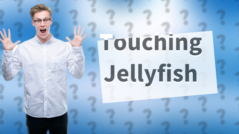 Touching Jellyfish
