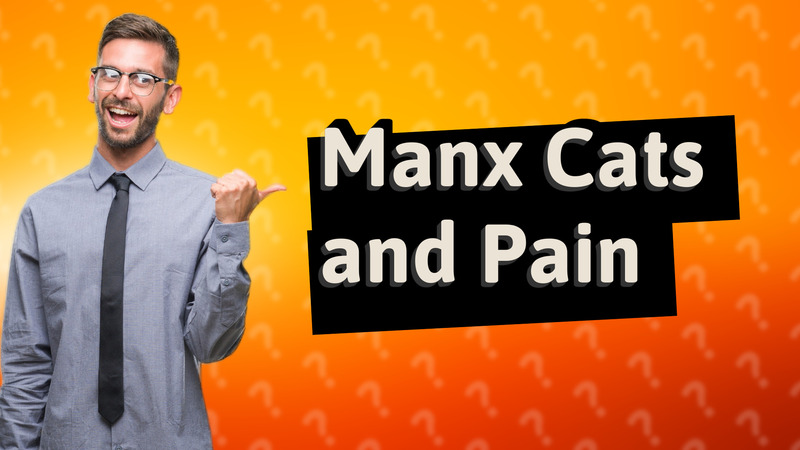 Manx Cats and Pain