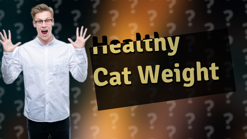 Healthy Cat Weight
