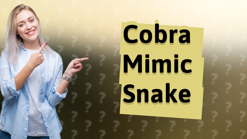 Cobra Mimic Snake