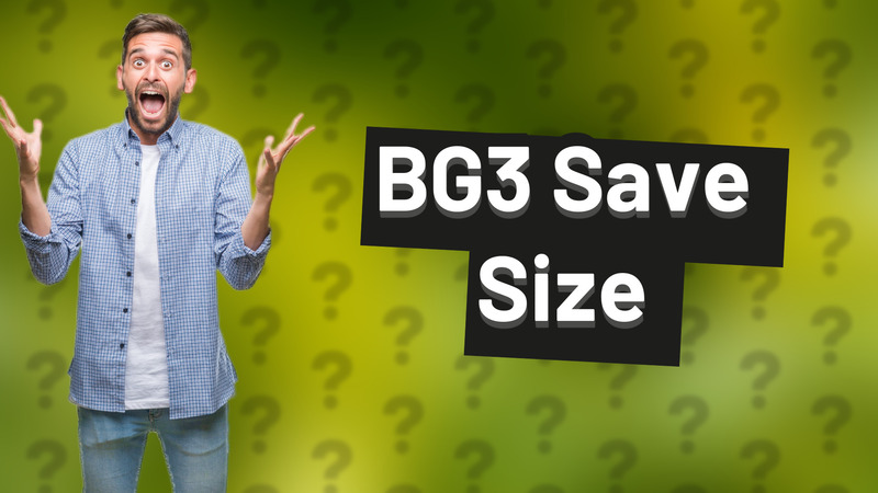 BG3 Save Size