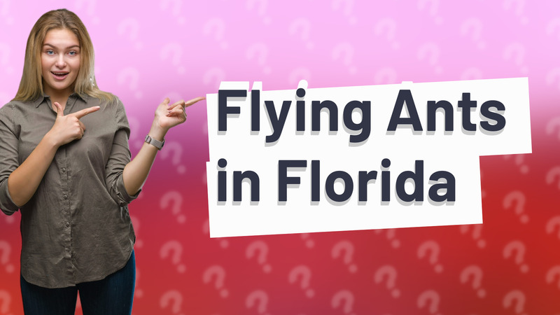 Flying Ants in Florida