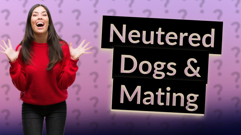 Neutered Dogs & Mating