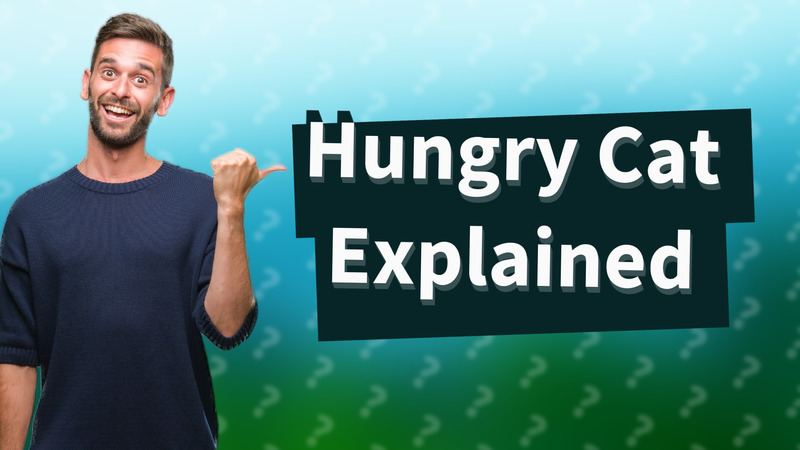 Hungry Cat Explained