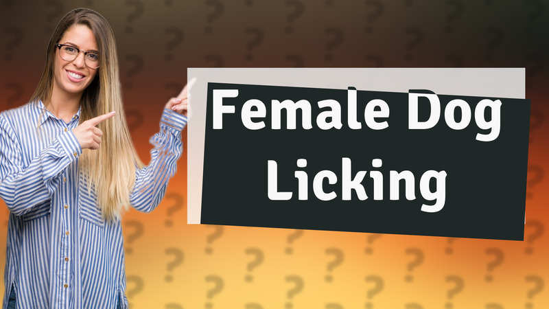 Female Dog Licking
