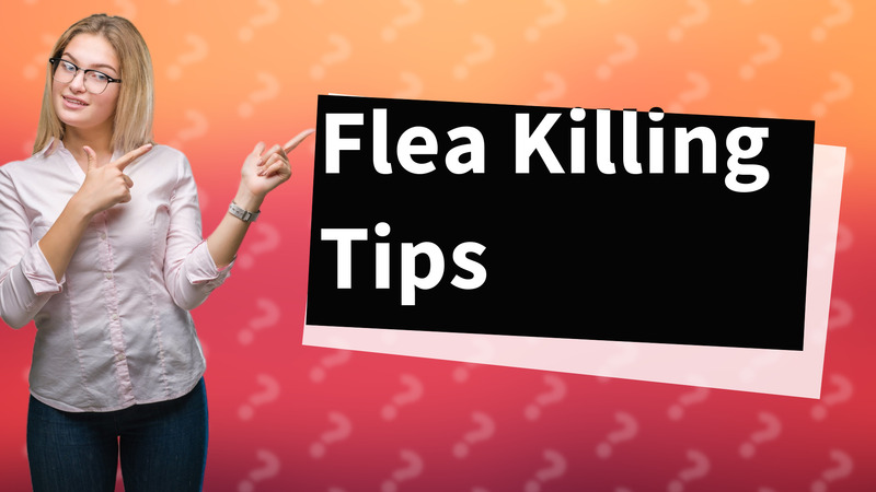Flea Killing Tips