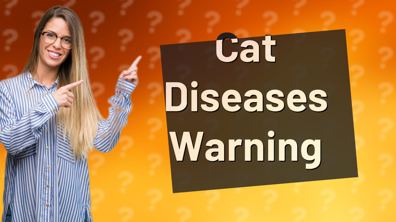 Cat Diseases Warning