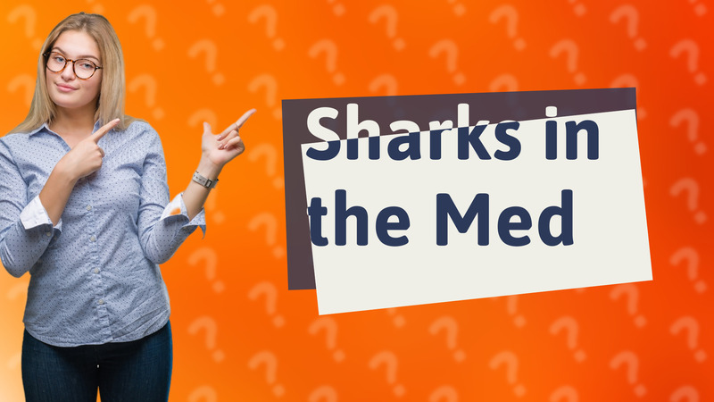 Sharks in the Med