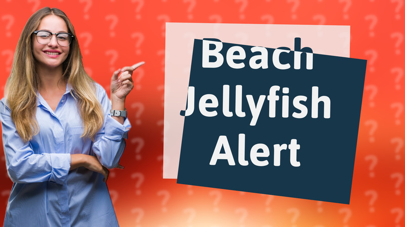 Beach Jellyfish Alert