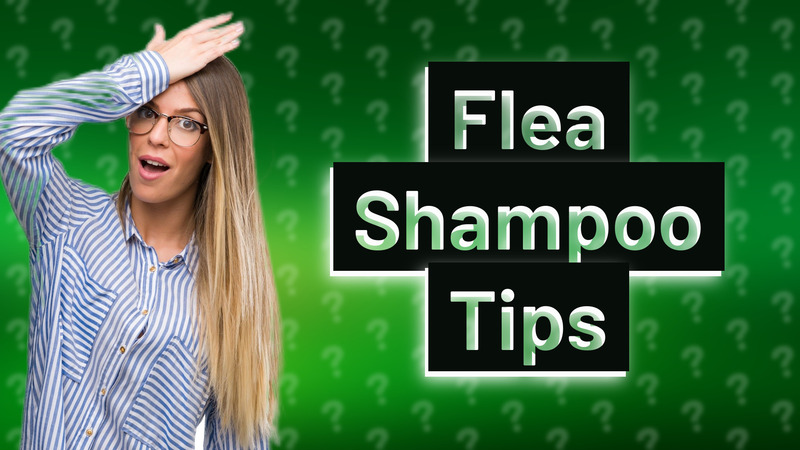 Flea Shampoo Tips