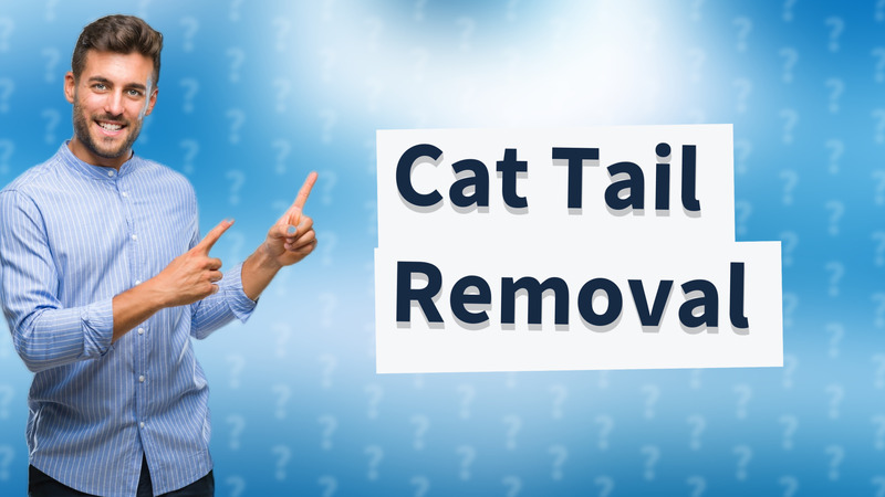 Cat Tail Removal